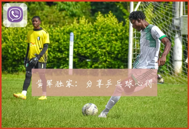 黄军独家：分享乒乓球心得
