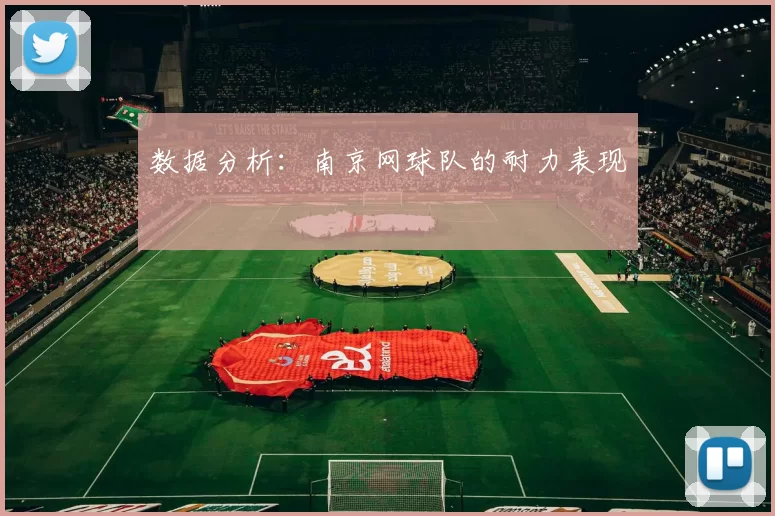 数据分析：南京网球队的耐力表现